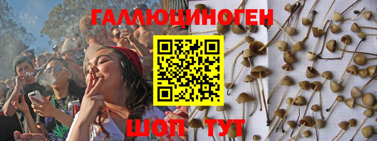 Мичуринск  Галлюциногенные грибы Psilocybe  Вход с VPN 
